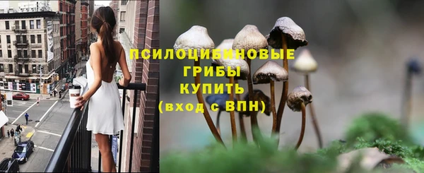 ГАЛЛЮЦИНОГЕННЫЕ ГРИБЫ Володарск