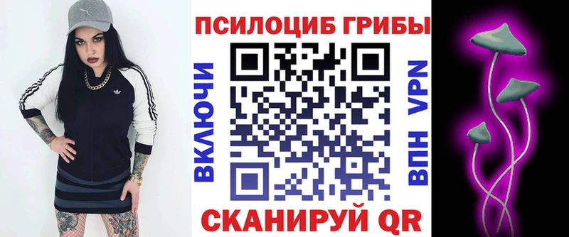 Галлюциногенные грибы ЛСД  Купить где  Приморск 